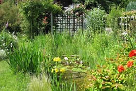 A wildlife pond in a garden provides water and habitat for frogs, newts, insects and other wildlife, and is one of the ways householders can make their gardens more welcoming to nature.