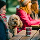 Harewood House Winter Artisan Market