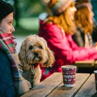 Artisan market aims to take winter magic to Harewood House
