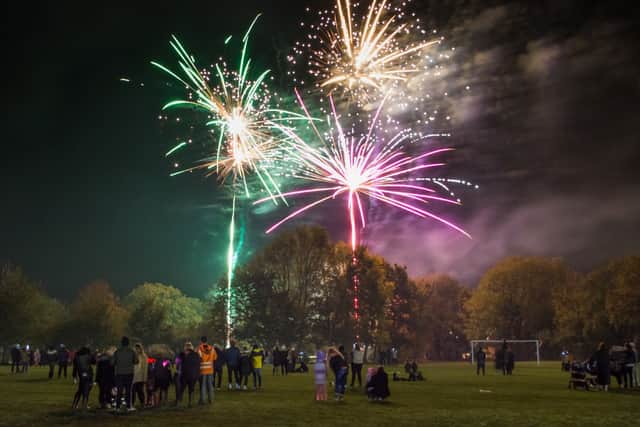 Research into firework-sensitive dogs has found measurable differences in autonomic nervous system activity after exposure to recorded firework sounds