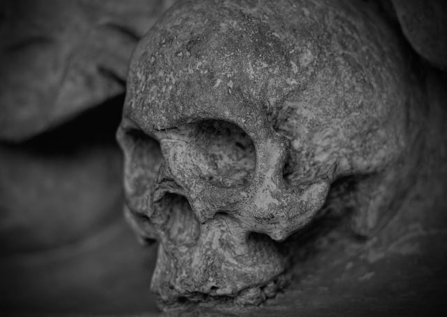 Human skull bones top the list of the 10 weirdest things thrown out when moving home, according to a YouGov survey commissioned by Boroughbridghe industrial shredder company UNTHA UK.