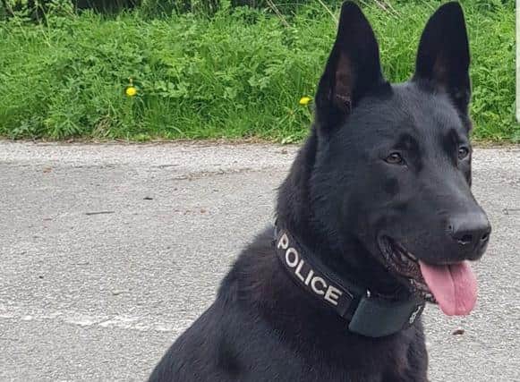Police dog Bobby played a star role in the operation.