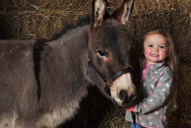 Sophie Prentice with Dominic the donkey