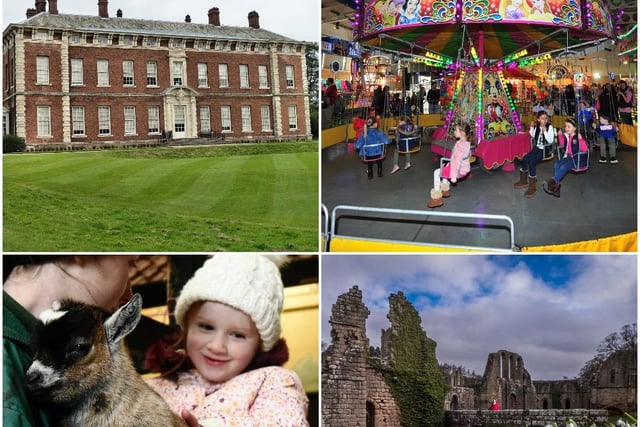 These are 11 things to do in and around Harrogate and Yorkshire this half term.