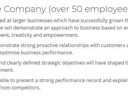 Best Large Company (over 50 employees) award criteria.