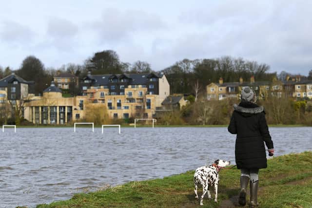 A dog walker passes the flooded Wetherby Ings sports pitches.
Picture Jonathan Gawthorpe
23rd February 2020.