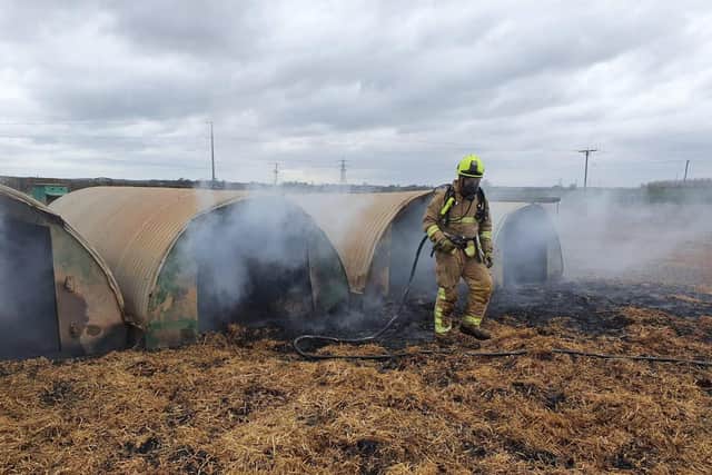 Peckish pigs caused a fire on a farm near Leeds this weekend. Credit: NYFRS