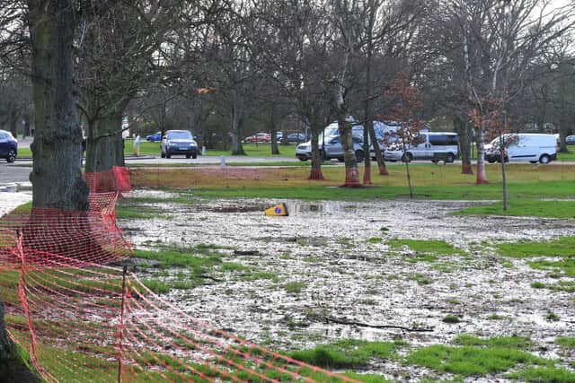 West Park in February