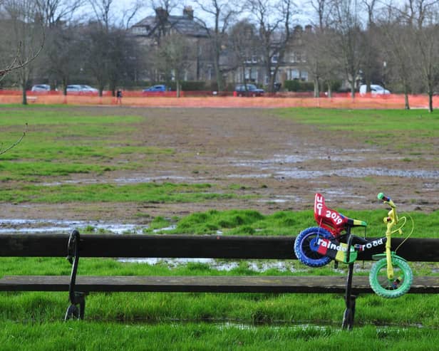 The Stray at West Park in February