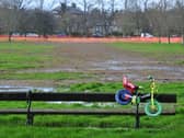 The Stray at West Park in February