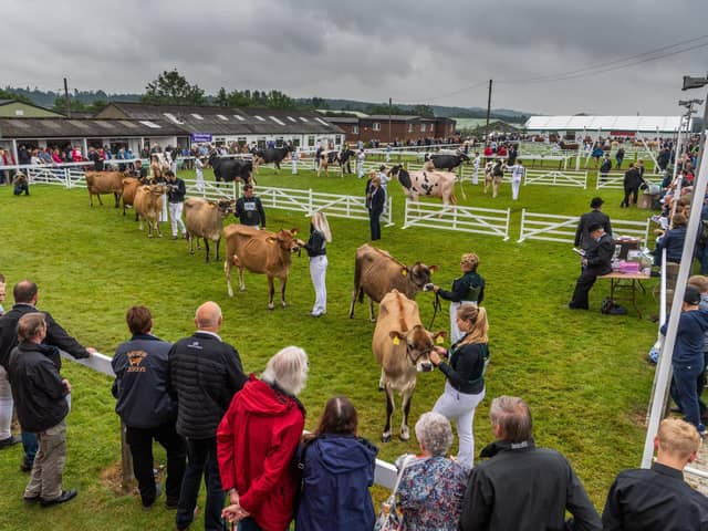 Great Yorkshire Show