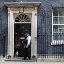 Larry the Downing Street cat outside the door of 10 Dowing Street, as Prime Minister Boris Johnson is discharged from hospital. Photo: PA