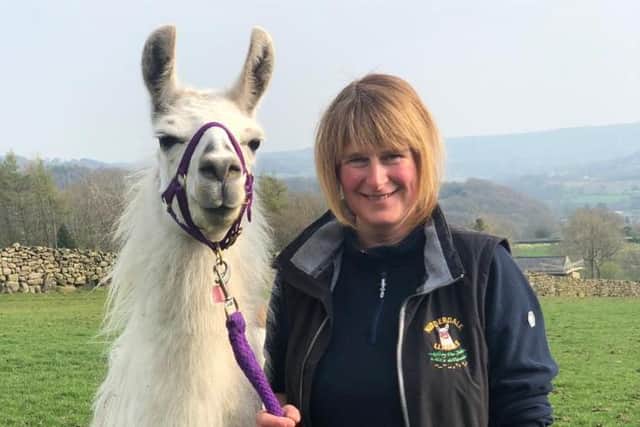 Suzanne Benson from Nidderdale Llamas with one of her llamas, Rosebud.