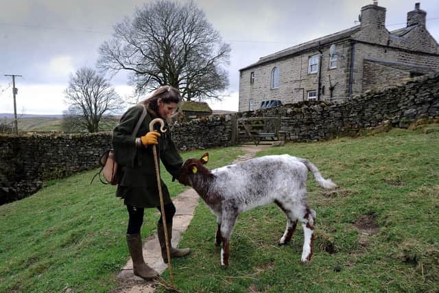 Yorkshire Shepherdess Amanda Owen on her farm. Picture by Simon Hulme