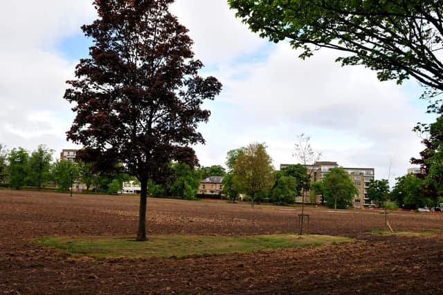 Real work has started at the Stray in West Park in Harrogate to finally restore it to its full glory after the UCI cycling championships last September.