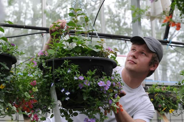 Instructor Tom Dickinsons tending to hanging baskets at Horticap.