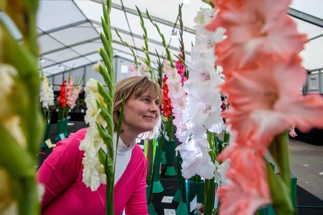 Harrogate Autumn Flower Show has been cancelled due to the pandemic.