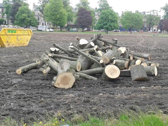 Trees being chopped down on the Stray at West Park in Harrogate have sparked some concern.