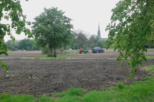 More trees will be planted than removed on the Stray at West Park as part of restoration work, says Harrogate Borough Council.