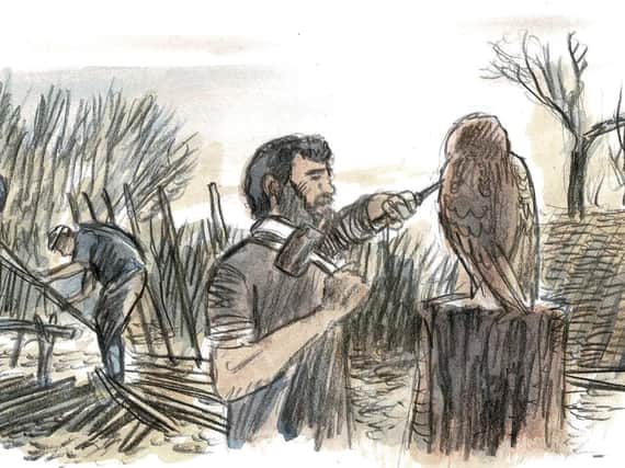From an illustration entitled Woodcraft from The Vision for Long Lands Common in Harrogate by artist James McKay.