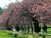 Harrogate is set for a heatwave.
