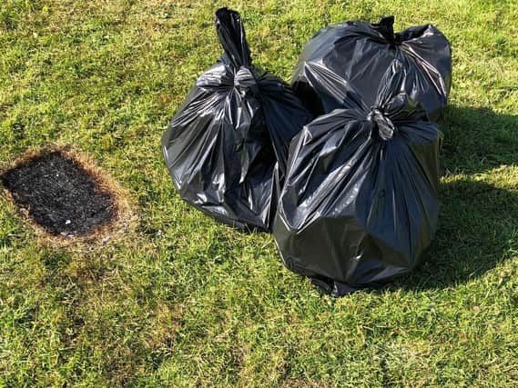 Just a small snapshot of the scenes on Harrogate's Stray.