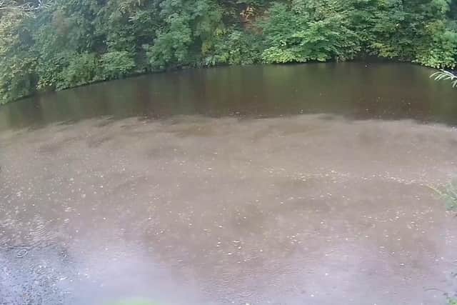 Pollution on the River Wharfe at Wetherby. Picture by Beneath British Waters.