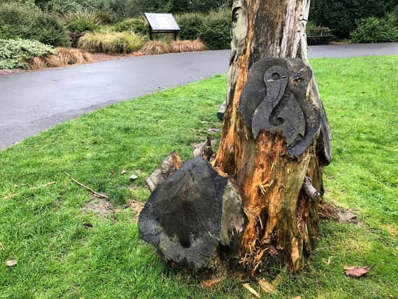 One of the damaged sculptures in Valley Gardens in Harrogate. Could it really be the work of woodpeckers?