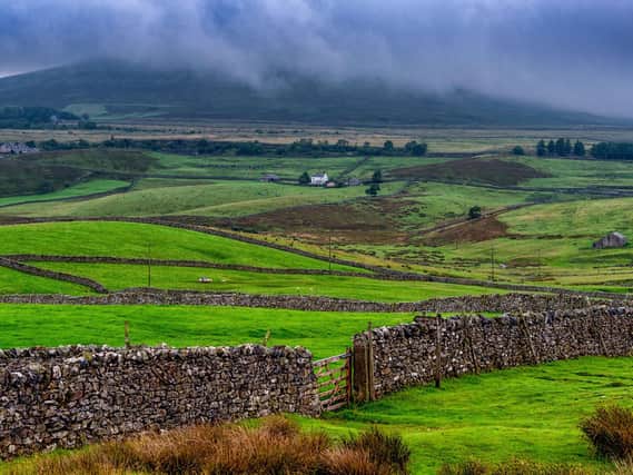 Ribblesdale in North Yorkshire. Pic by James Hardisty