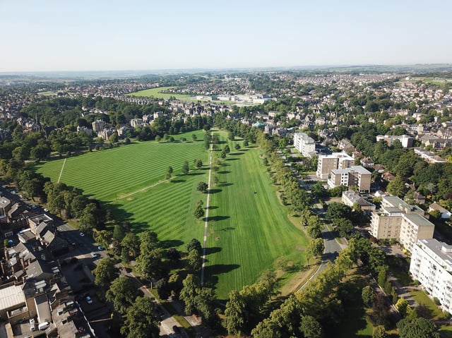 Green green grass of home - The Stray at West Park is making progress to resembling its old self again.