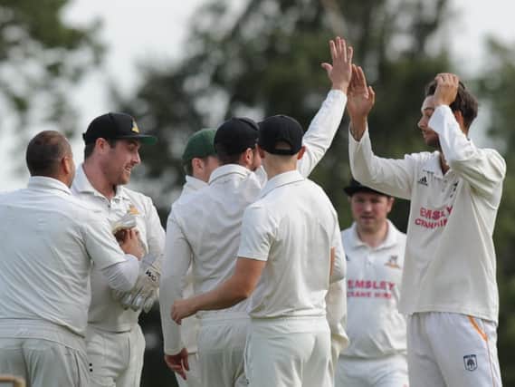 Reigning Theakston Nidderdale League champions Darley CC celebrate a wicket. Picture: Gerard Binks