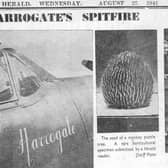 Harrogate's Spitfire - From the archives: How the Harrogate Advertiser's sister newspaper the Harrogate Herald reported on it in August 1941.