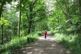 Part of the lovely nature spot Nidd Gorge between Harrogate and Knaresborough and Ripley.