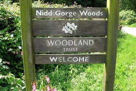 Nidd Gorge - Residents, councillors and The Woodland Trust are concerned over some visitors' anti-social behaviour at Harrogate's greatest nature and wildlife spot.