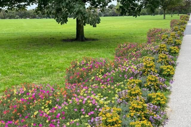 West Park Stray reimagined as bee-friendly. (Image courtesy of Harrogate Green Party)