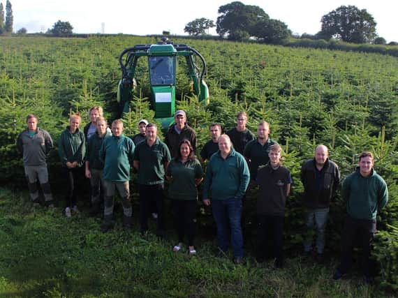 Still gearing up for busiest-ever season - Growers at Cadeby Tree Trust in Nuneaton, members of The British Christmas Tree Growers Association, (BCTGA), which is managed from Harrogate.