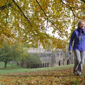 The stunning Fountains Abbey will be open to the public. Photo: National Trust Images / Chris Lacey.