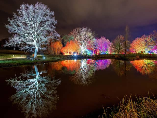 Glow at RHS Harlow Carr (Photo: Charlotte Graham)