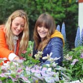 Visitors to the Harrogate Spring Flower Show