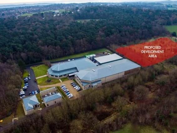 This is the woodland area which could be chopped down if Harrogate Spring Water's expansion plans are approved.