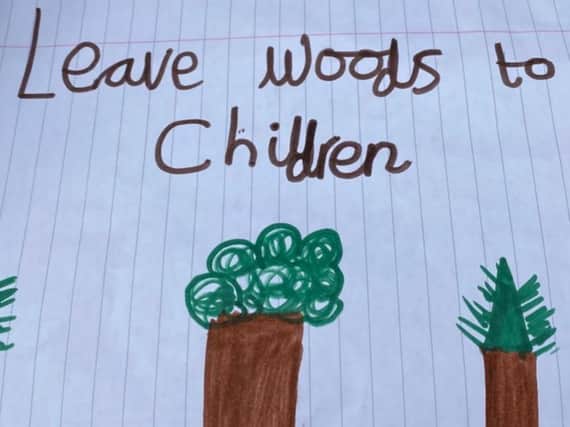 Artwork from local children which was part of Harrogate and District Green Party's Message in a Bottle campaign to save Rotary Wood.