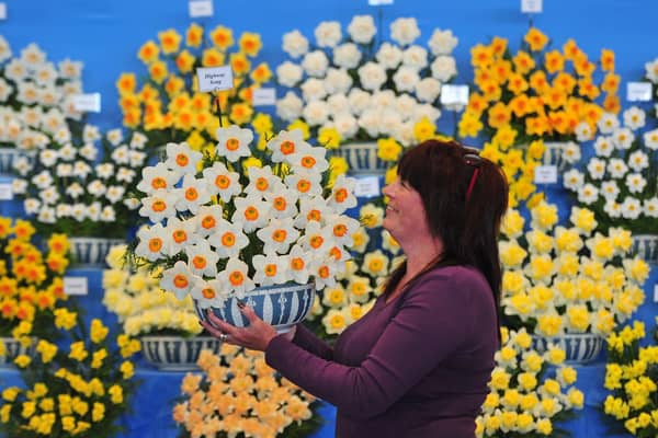 This year's Harrogate Spring Flower Show has been postponed by a month.