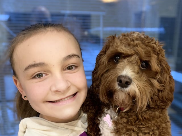Children’s Mental Health Week - Ashville College Year 7 pupil Emilia Peers-Alton with her Cavapoo, Lottie. This photo was one of many submitted for the year group's 'Pets at Home' activity.
