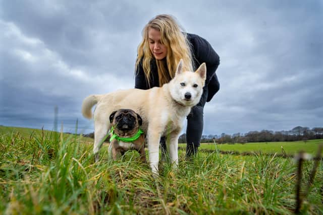 Date: 30th January 2021.
Picture James Hardisty.
Dog Foster Mum, Sophia Taylor, of Shadwell, Leeds, (left), arranged  a social distance dog walk in her village, with Lisa Butland, (right) the Yorkshire Rehoming Coordinator for the Pug Dog Welfare Rescue Association. The society was formed in 1973 as a chairty and operates throughout the whole of the UK to support pug dog owners with welfare issues and to assist with rehoming. Pictured Sophia, with pug Susie, aged 3, and Husky cross Apollo, aged 6.