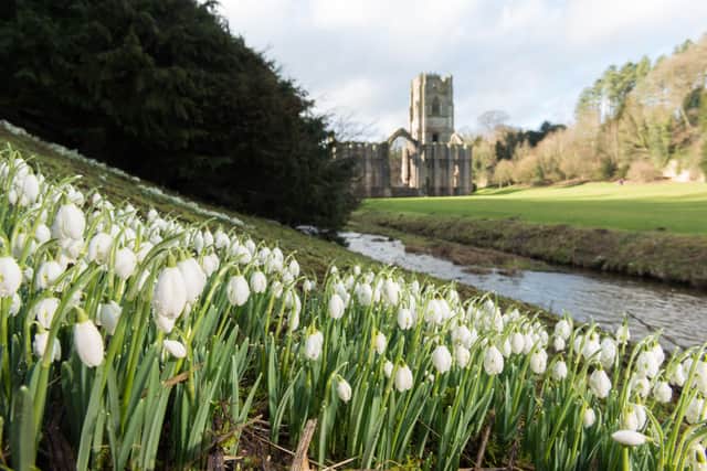 National Trust - Fountains Abbey with snowdrops in winter (Photo: jonathan Pow/jp@jonathanpow.com)