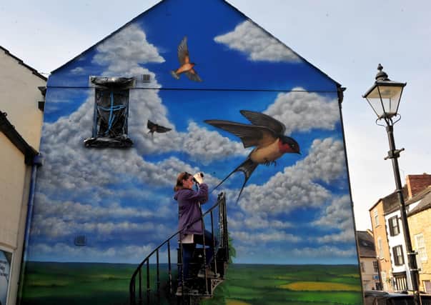22nd March 2021
Pictured local resident and bird watcher Katie Plowright-Hall takes a look at the swallow mural on the side of a building in Cheapside, Knaresborough
Picture Gerard Binks