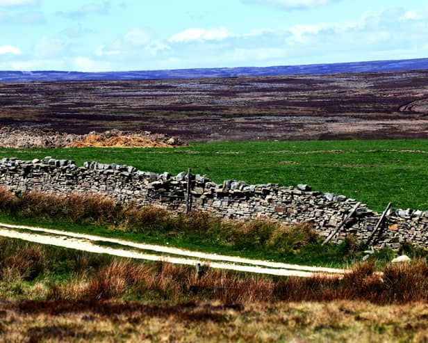 Swinton Moor, near Masham.