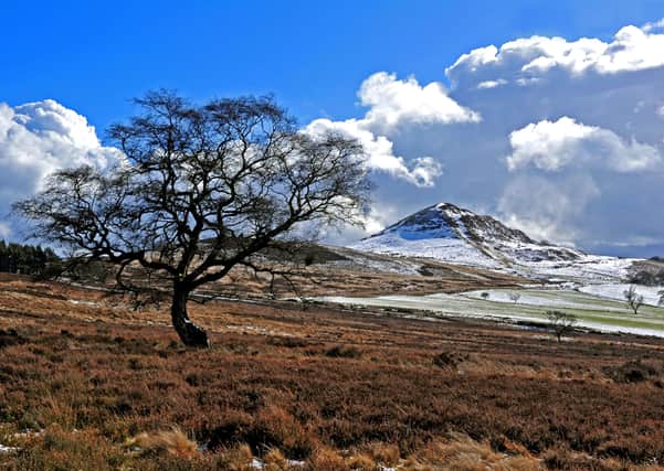 Moorland with a backdrop of Hawnby Hill between Helmsley and Osmotherley in North Yorkshire.  Picture by Tony Johnson.