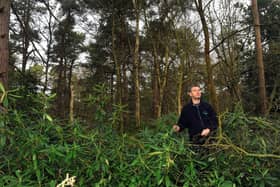 Neil Hind, chair of the Pinewoods Conservation Group in Harrogate walking through Pinewoods.