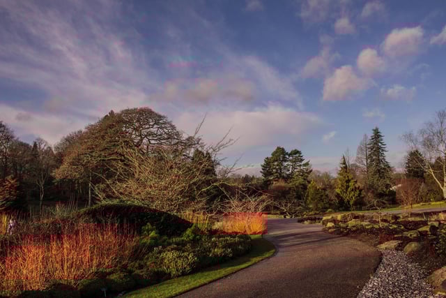 RHS Harlow Carr, snapped by Jeannette Wilson.